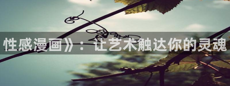 51漫画无删减在线网站：性感漫画》：让艺术触达你的灵魂