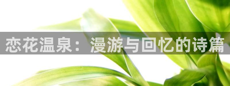 看51漫画画用什么软件最好免费版：恋花温泉：漫游与回忆的诗篇