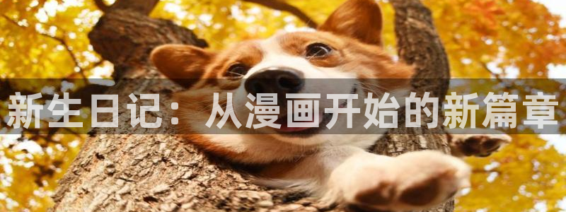 美丽新世界51漫画在线观看免费版：新生日记：从漫画开始的新篇章