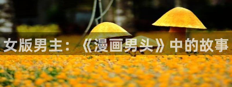 51漫画画免费版下拉式阅读：女版男主：《漫画男头》中的故事