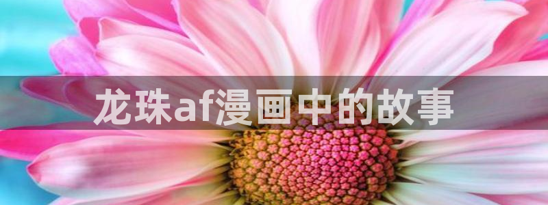 51漫画在线观看免费网址：龙珠af漫画中的故事