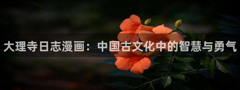 51漫画免费漫画在线网站：大理寺日志漫画：中国古文化中的智慧与勇气