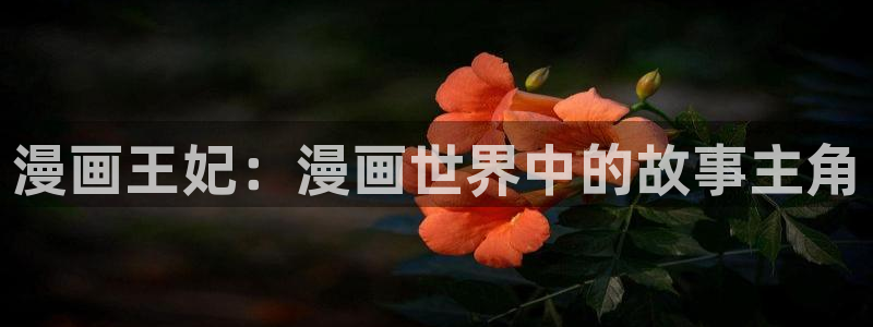 www.51漫画漫画：漫画王妃：漫画世界中的故事主角