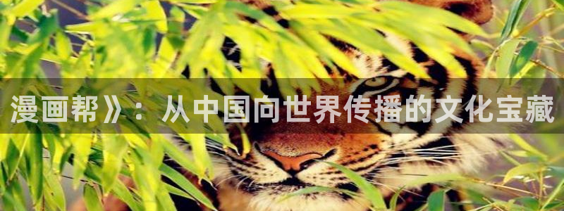 51漫画bl免费在线观看：漫画帮》：从中国向世界传播的文化宝藏