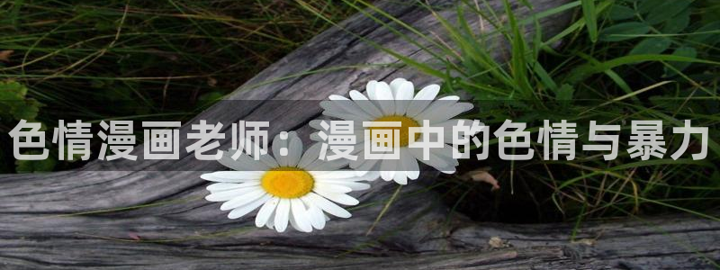 51漫画无遮挡免费漫画：色情漫画老师：漫画中的色情与暴力